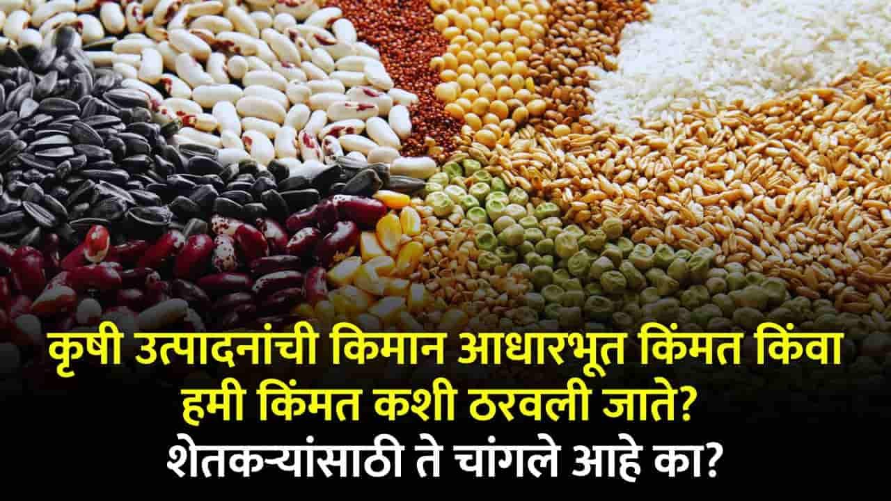 Kharif MSP 2024