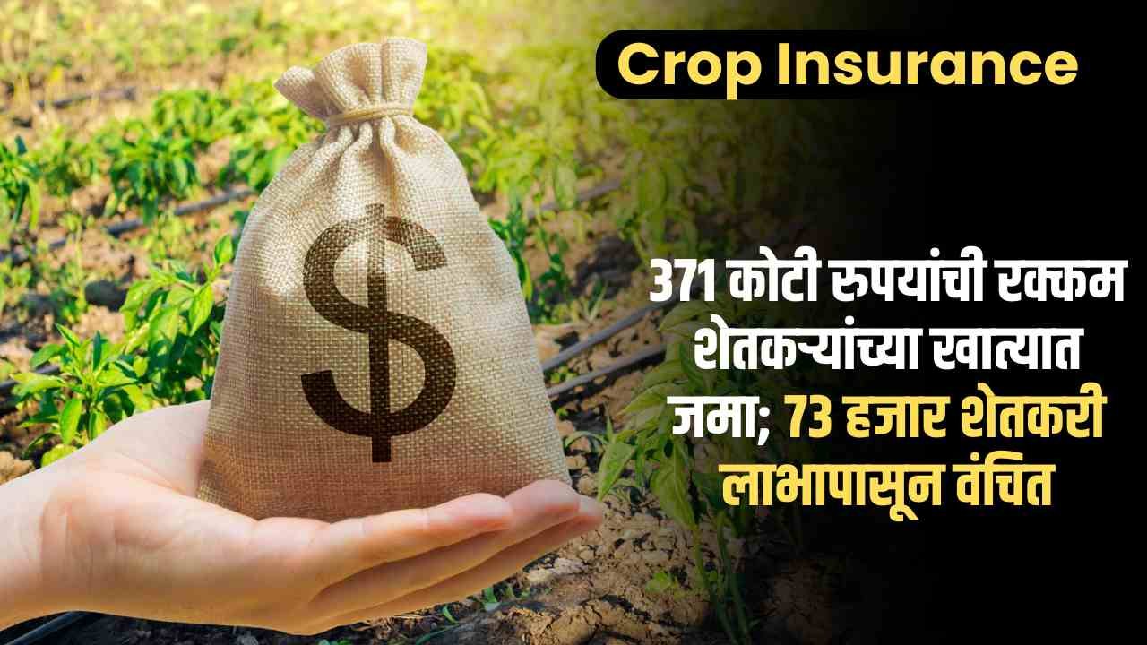 Crop Insurance