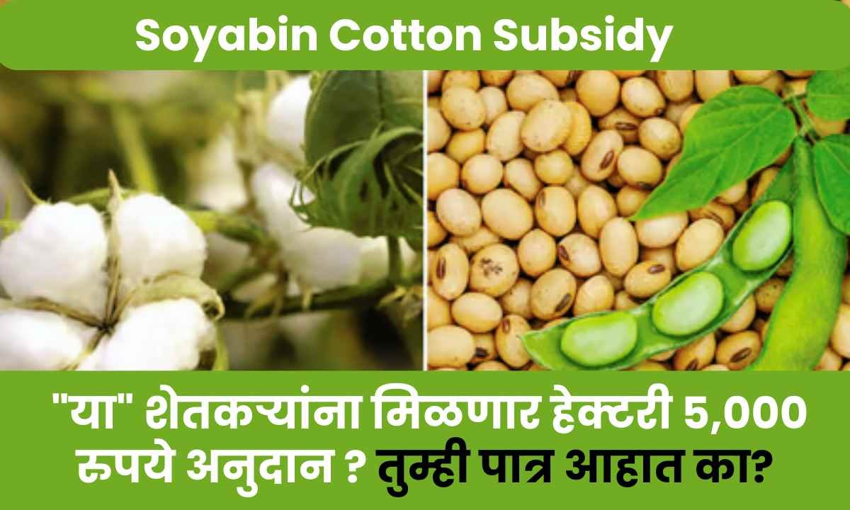 Soyabin Cotton Subsidy